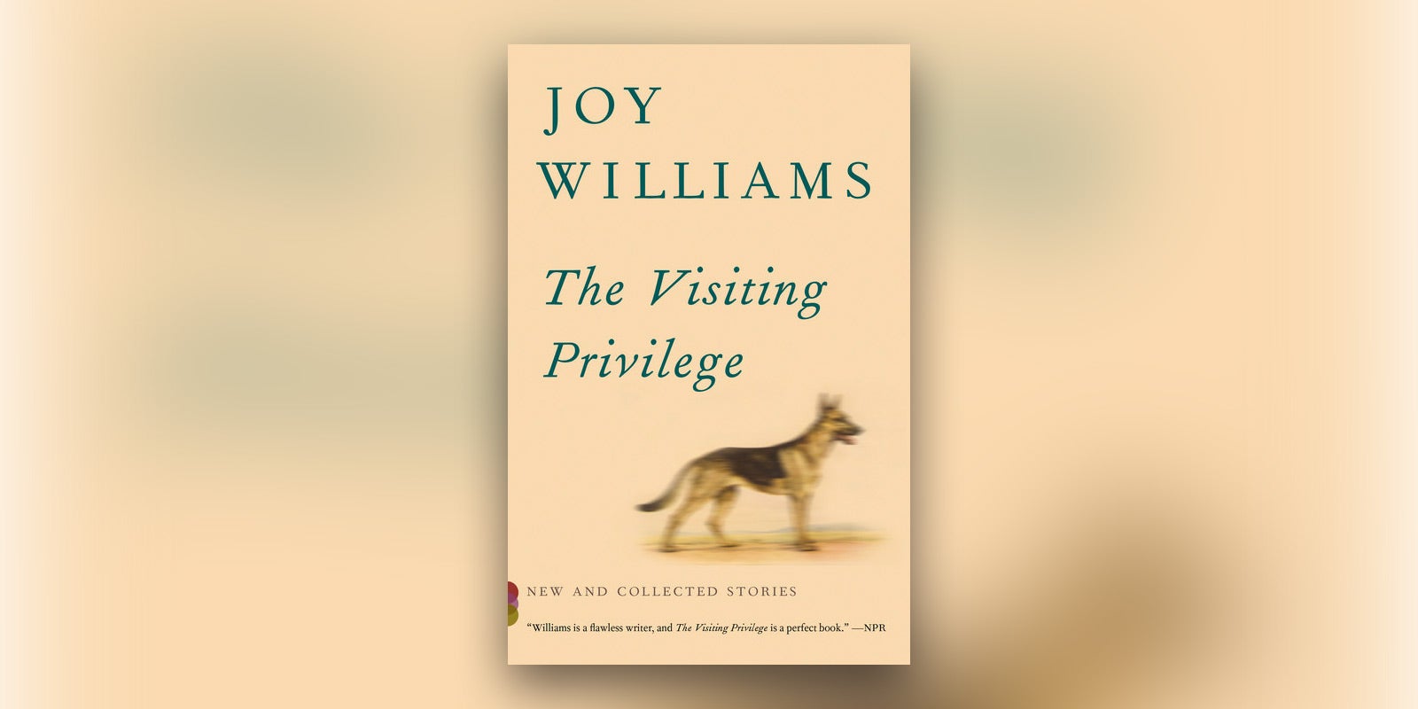 Joy Williams has been named the 2016 PEN/Malamud Award for Short Fiction honoree