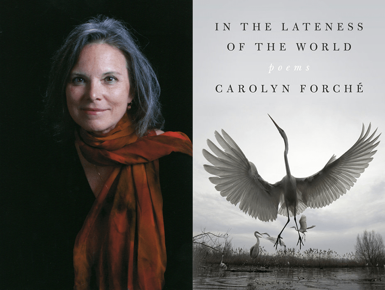 Carolyn Forché is awarded the American Book Award for <i>In the Lateness of the World</i>