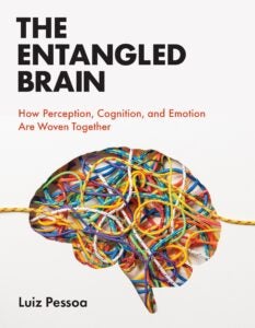 THE ENTANGLED BRAIN book cover