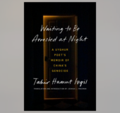 Cover for Waiting to Be Arrested at Night against a gray background