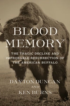 Blood Memory cover image