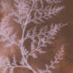 Fossilized branch in rock, resembling a white tree-like dendritic pattern etched on a copper-colored background.