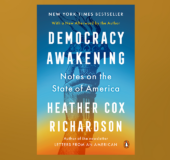 Democracy Awakening