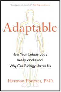 Adaptable 