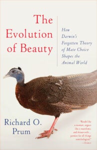 The Evolution of Beauty 9780345804570
