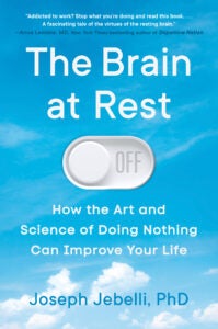 The Brain at Rest 9780593474648