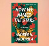 How We Named the Stars book cover against a peach background