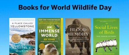 Books for World Wildlife Day. Header Titles: A PLACE CALLED YELLOWSTONE 9781640097339 Blood Memory 9780593537343 An Immense World 9780593133255 THE SOCIAL LIVES OF BIRDS 9780593853061