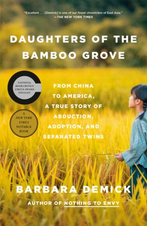 Daughters of the Bamboo Grove book jacket