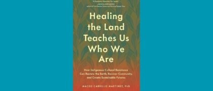 Healing the Land Teaches Us Who We Are book cover against a blue background